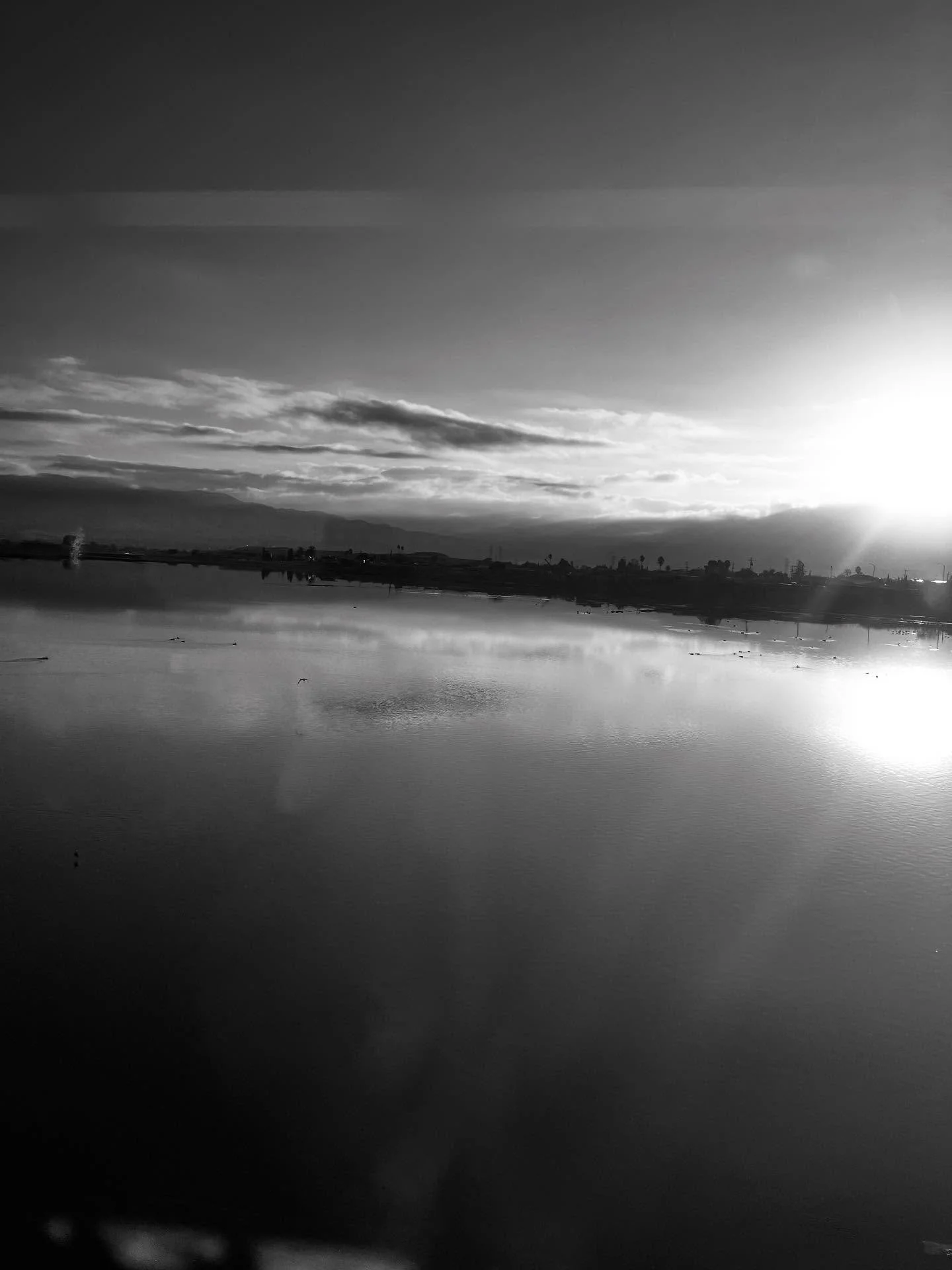 Train Sun 7.jpg