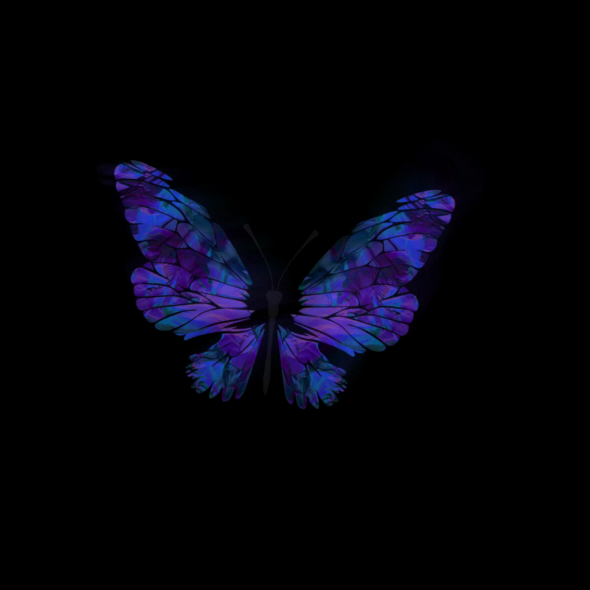 Dollyverse Dreamwings