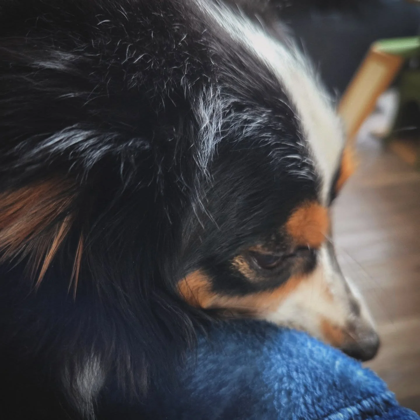 Sundays are for warm puppy snuggles, big family breakfasts, and that deep pause of gratitude. Gratitude for a life I used to wish for 💖

It&rsquo;s so easy to get caught up in the day-to-day, to forget how far we&rsquo;ve come, how much we&rsquo;ve 