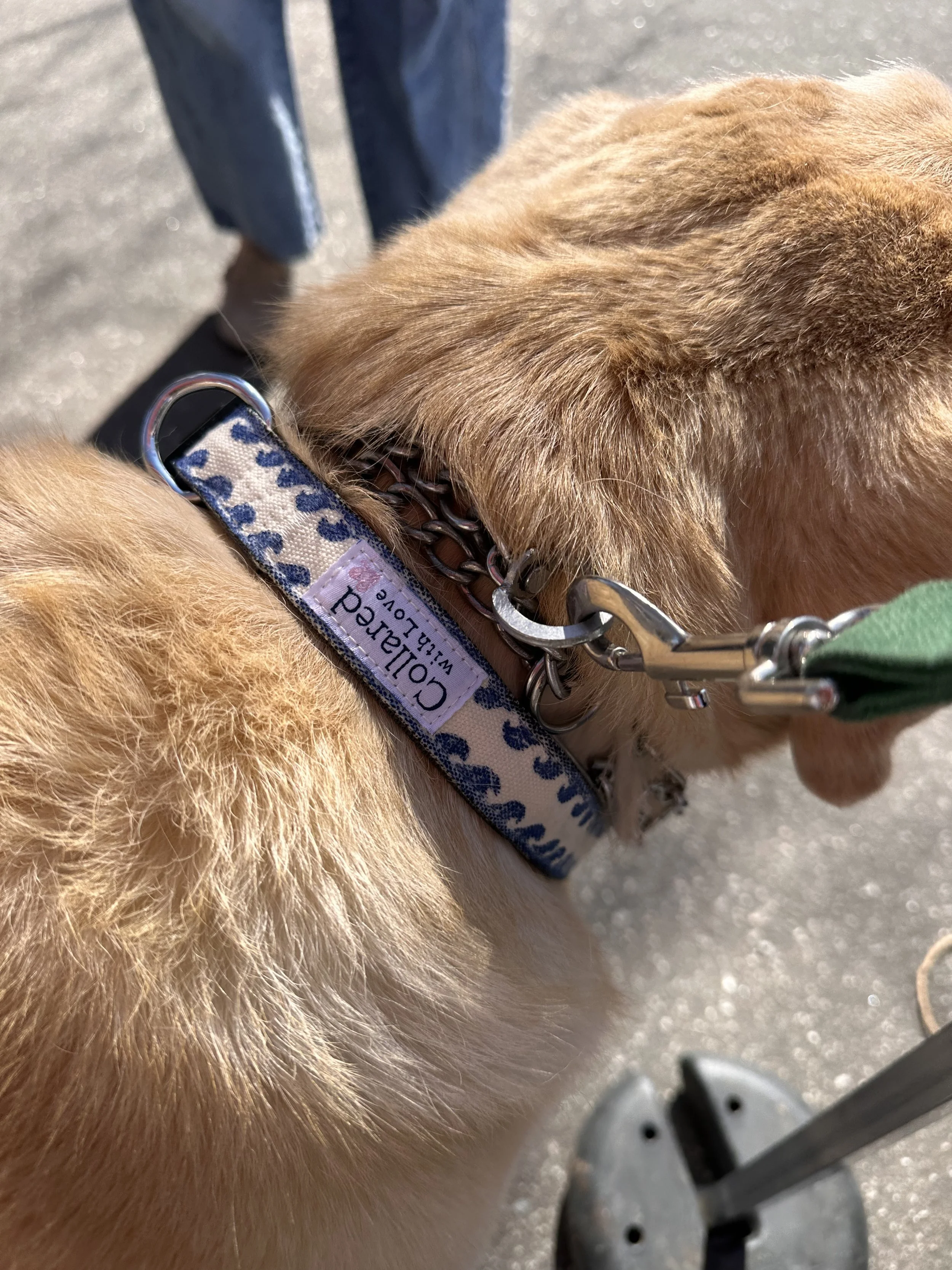 Photo Feb 14 2026, 1 28 50 PM 2.JPG