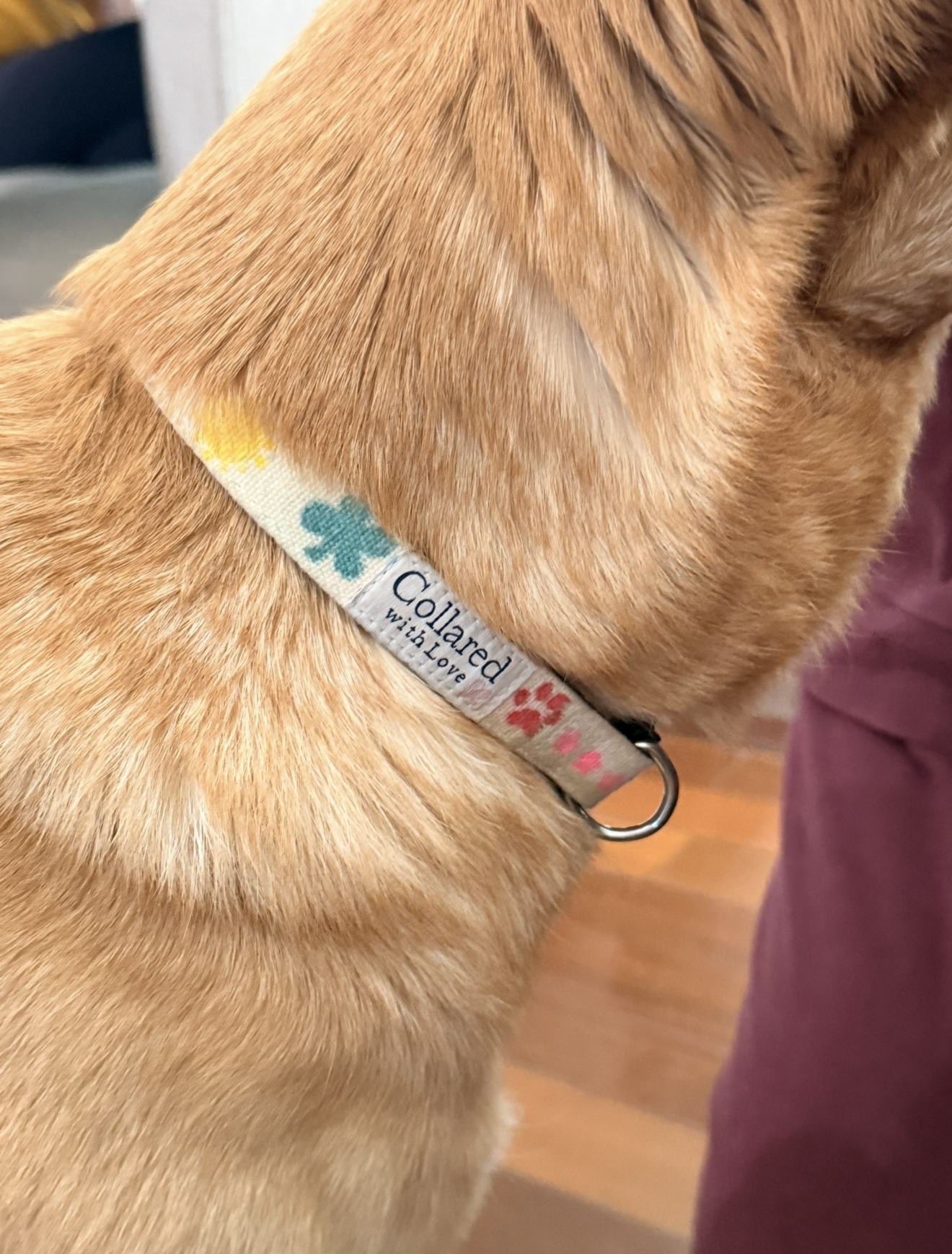 View recent photos 7.png