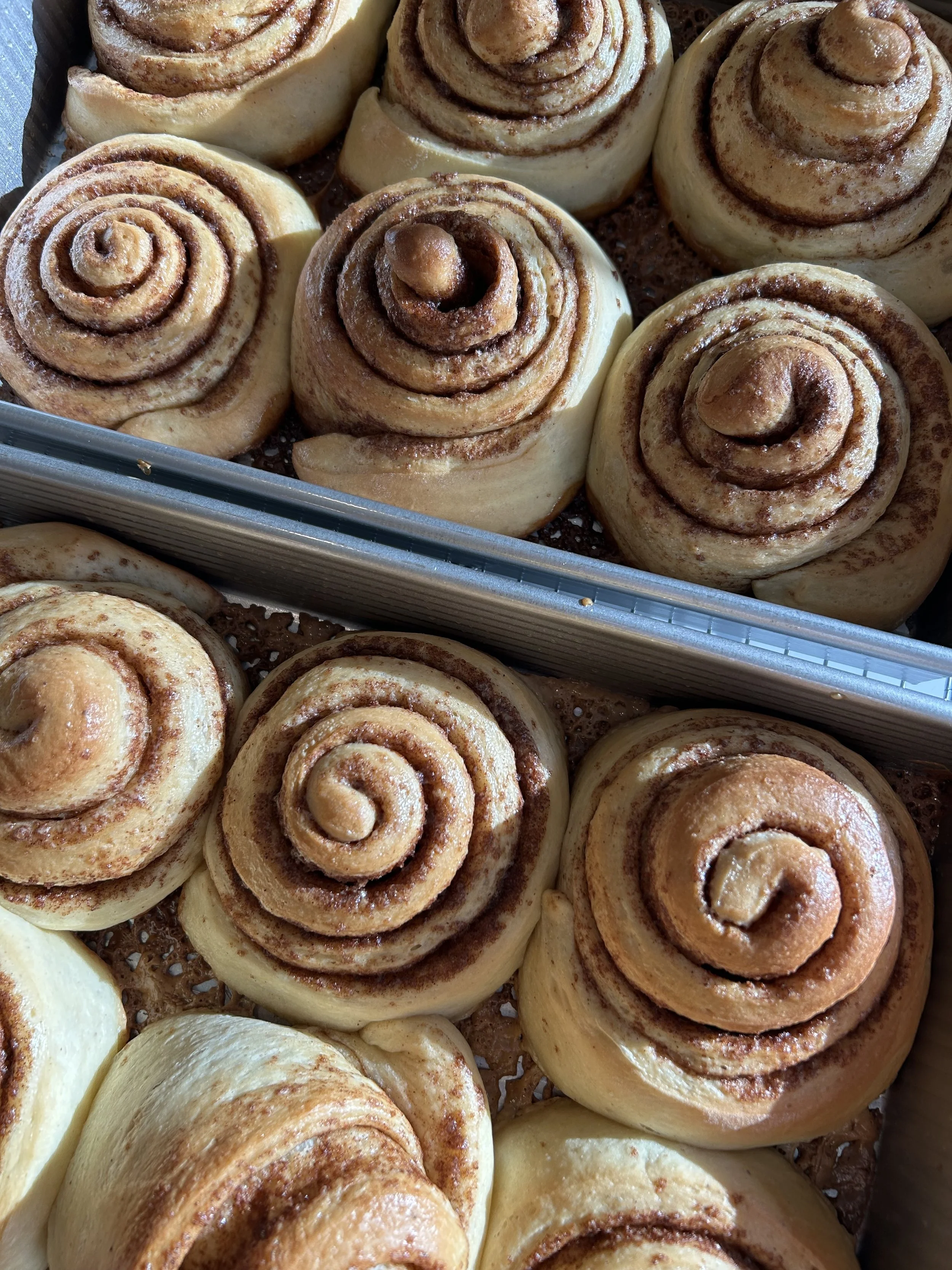 Maple Vanilla Cinnamon Rolls (pre-frosting)