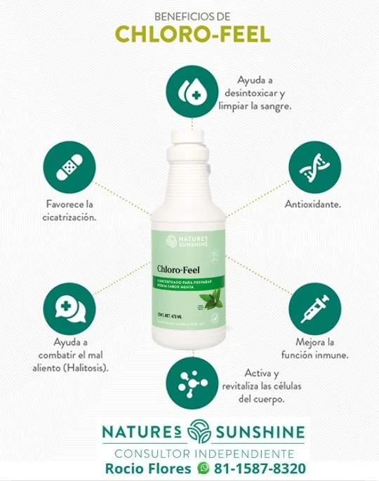 CHLORO-FEEL (CLOROFILA)