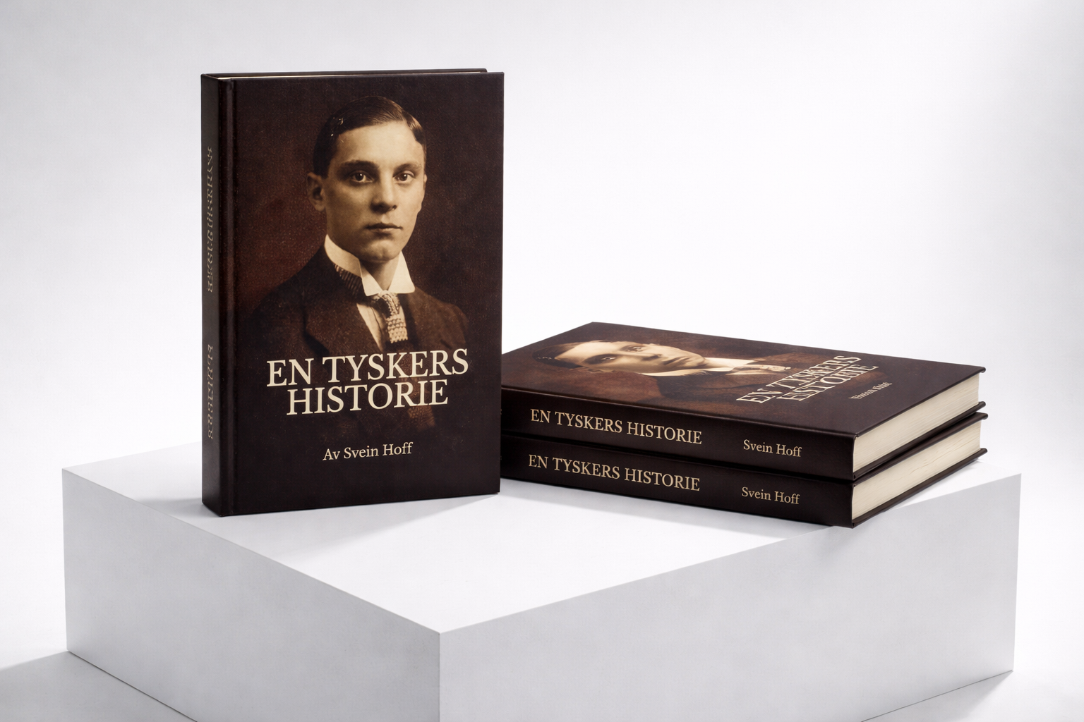 LUDWIG LIGGENDE HEEO.png