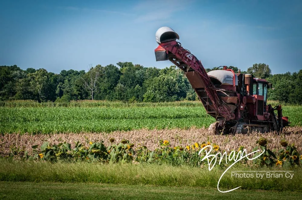 LoRes_WM_20160902_ShelbyFarms_Edit-3017.jpg