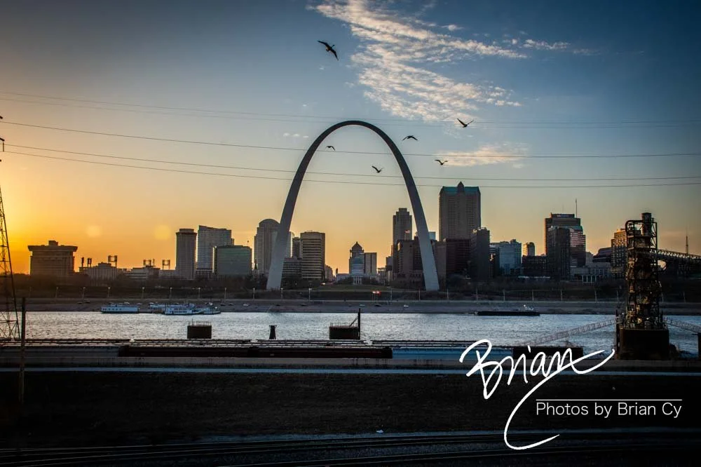 LoRes_WM_20240226_StLouis_Edit-1955.jpg