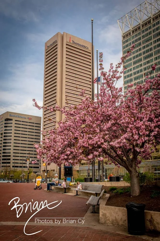 LoRes_WM_20220416_Baltimore_Edit-3810.jpg