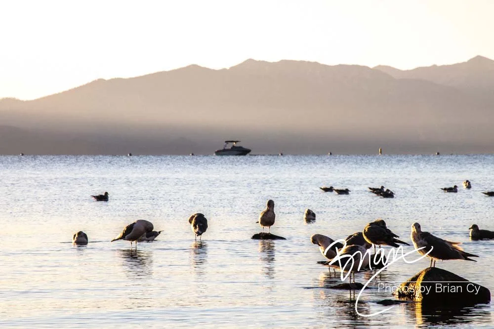 LoRes_WM_20201014_Tahoe_Edit-9808.jpg