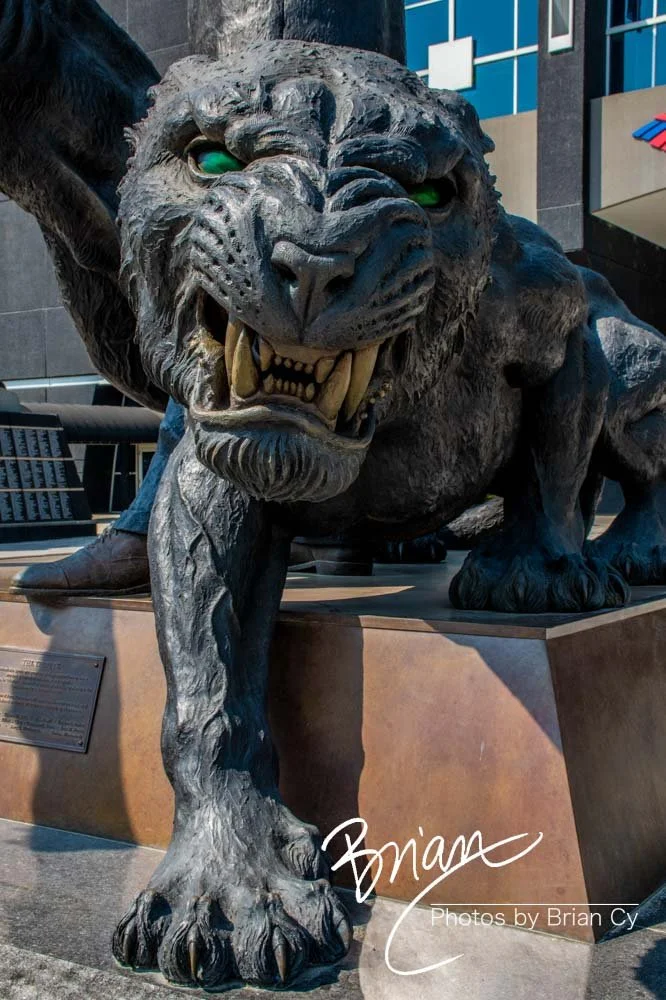 LoRes_WM_20190530_Charlotte_Edit-5373.jpg