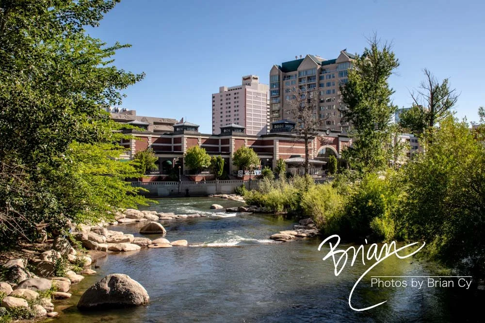 LoRes_WM_20200617_Reno_Edit-5242.jpg