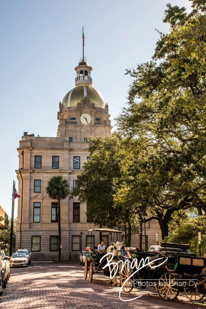 LoRes_WM_20191028_Savannah_Edit-1033.jpg