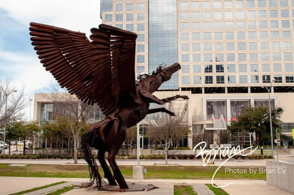 LoRes_WM_20180302_Dallas_Edit-7478.jpg
