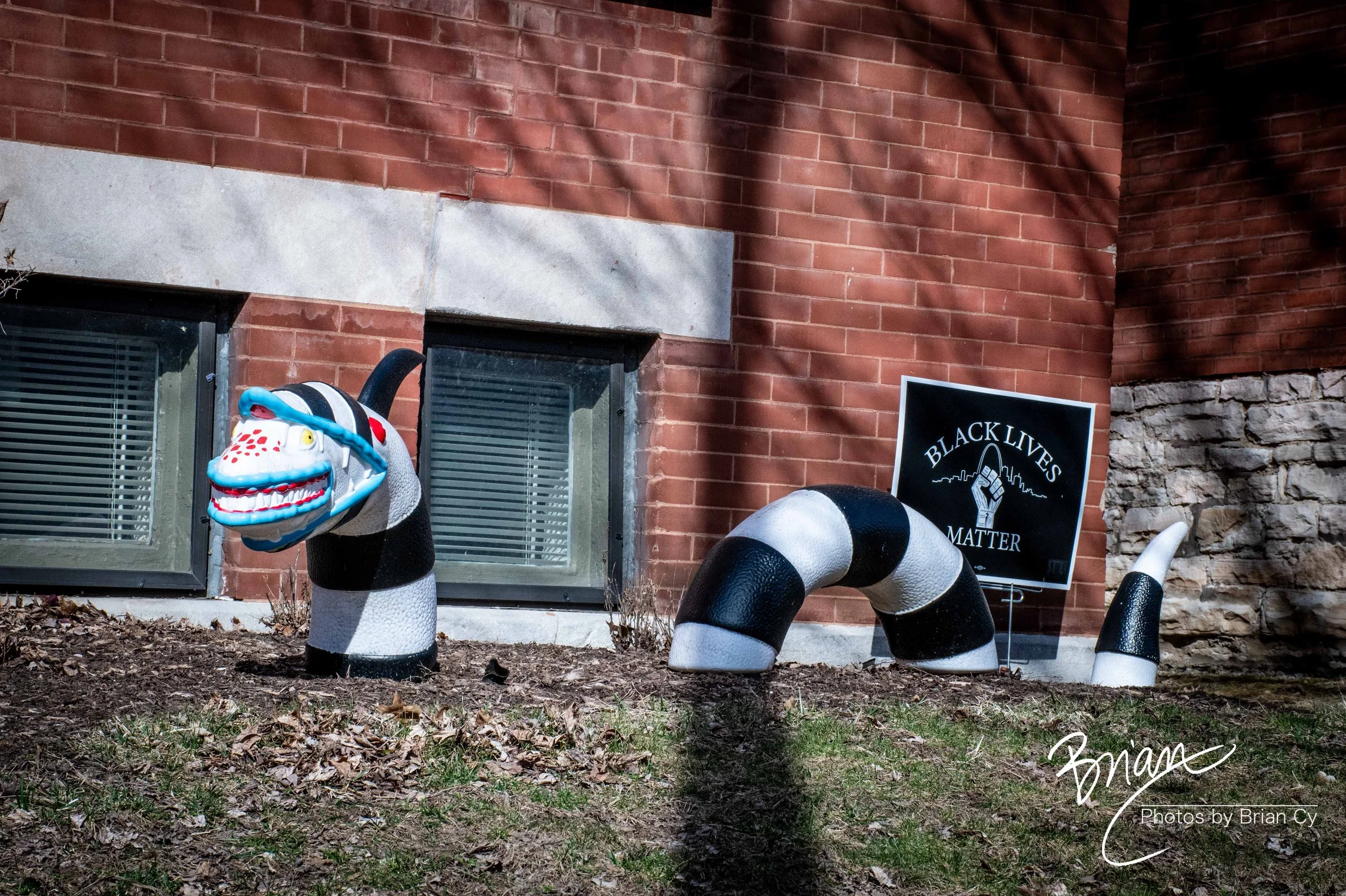 LoRes_WM_20250301_StLouis_Edit-9967.jpg