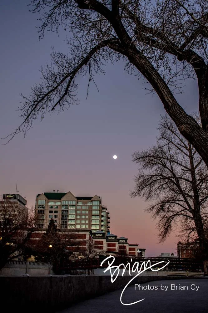 LoRes_WM_20200208_Reno_Edit-0397.jpg