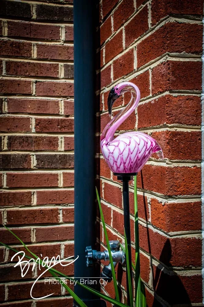 LoRes_WM_20220528_Baltimore_Edit-9855.jpg