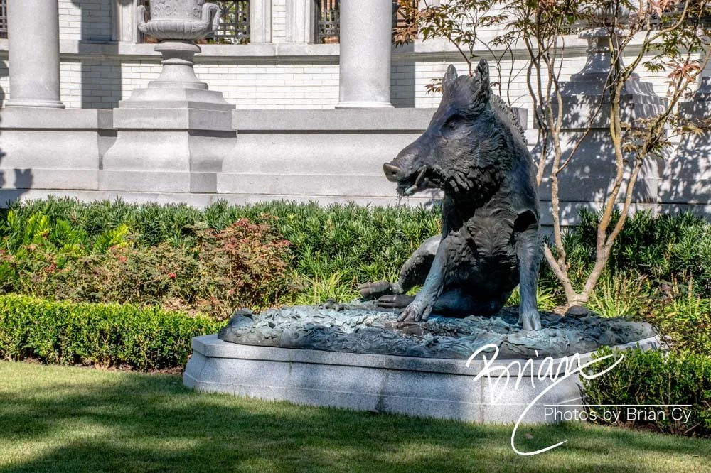 LoRes_WM_20191028_Savannah_Edit-2001.jpg
