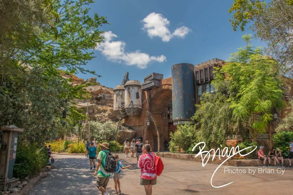 LoRes_WM_20230702_TheFam_Disney_Edit-5515.jpg