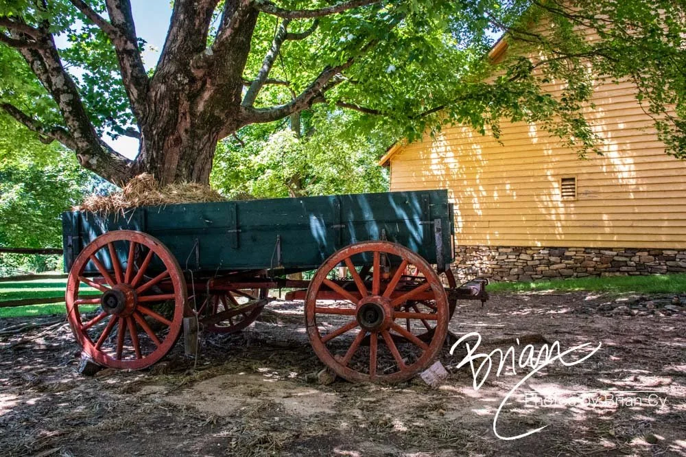 LoRes_WM_20190611_WinstonSalem_Edit-0759.jpg
