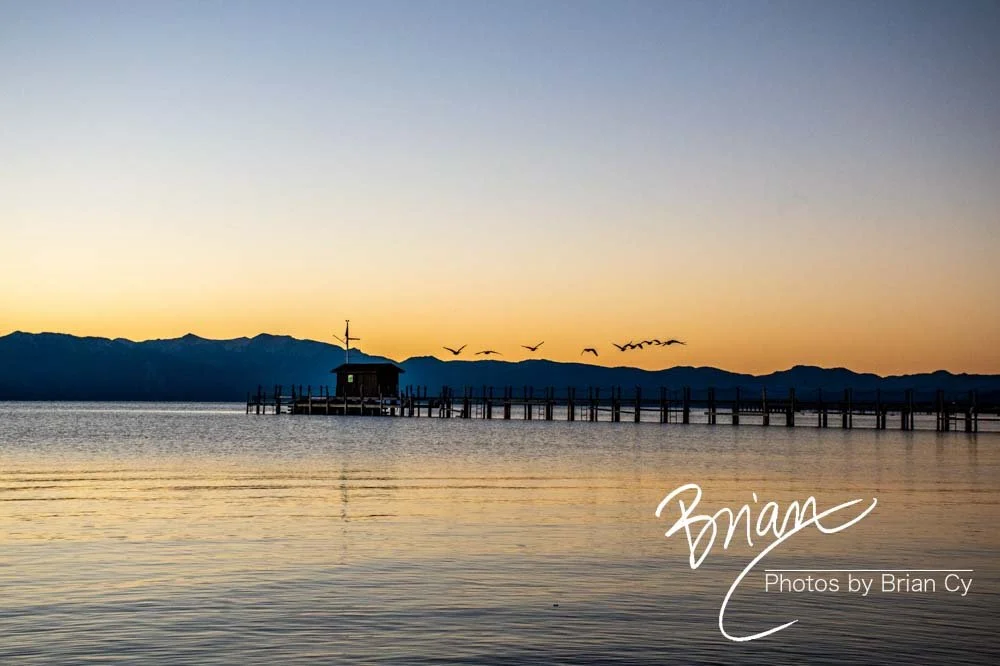 LoRes_WM_20201014_Tahoe_Edit-9426.jpg