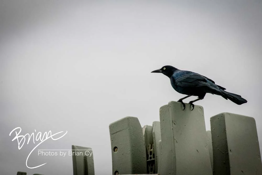 LoRes_WM_20191029_Wilmington_Edit-3714.jpg