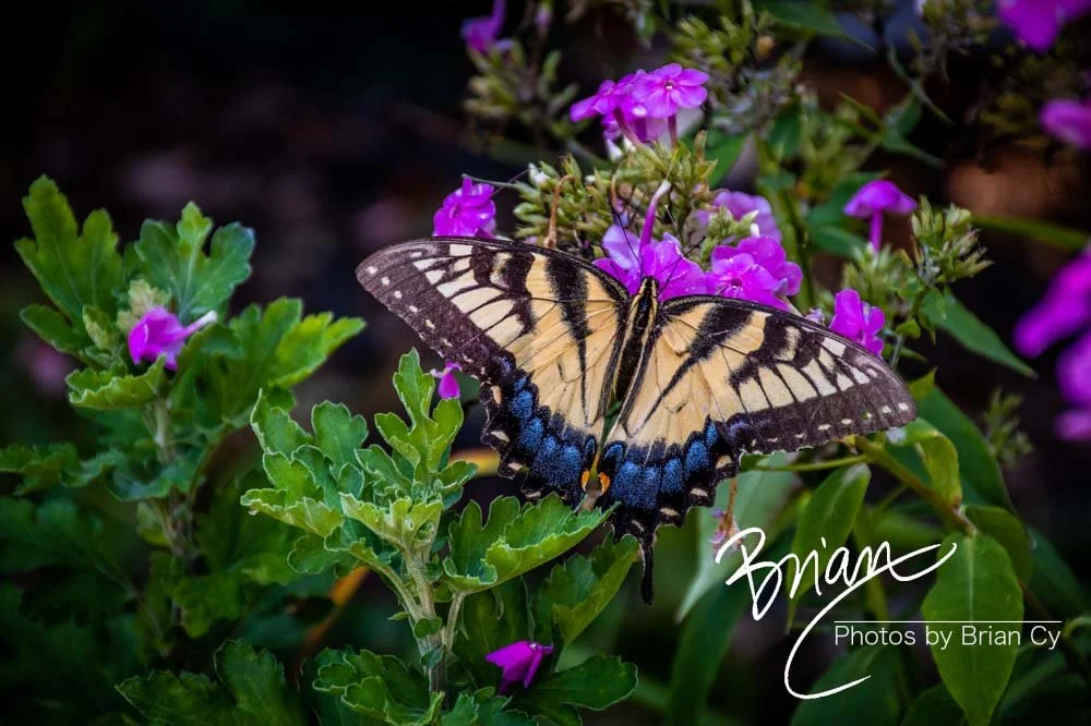 LoRes_WM_20190817_Atlanta_Edit-7389.jpg