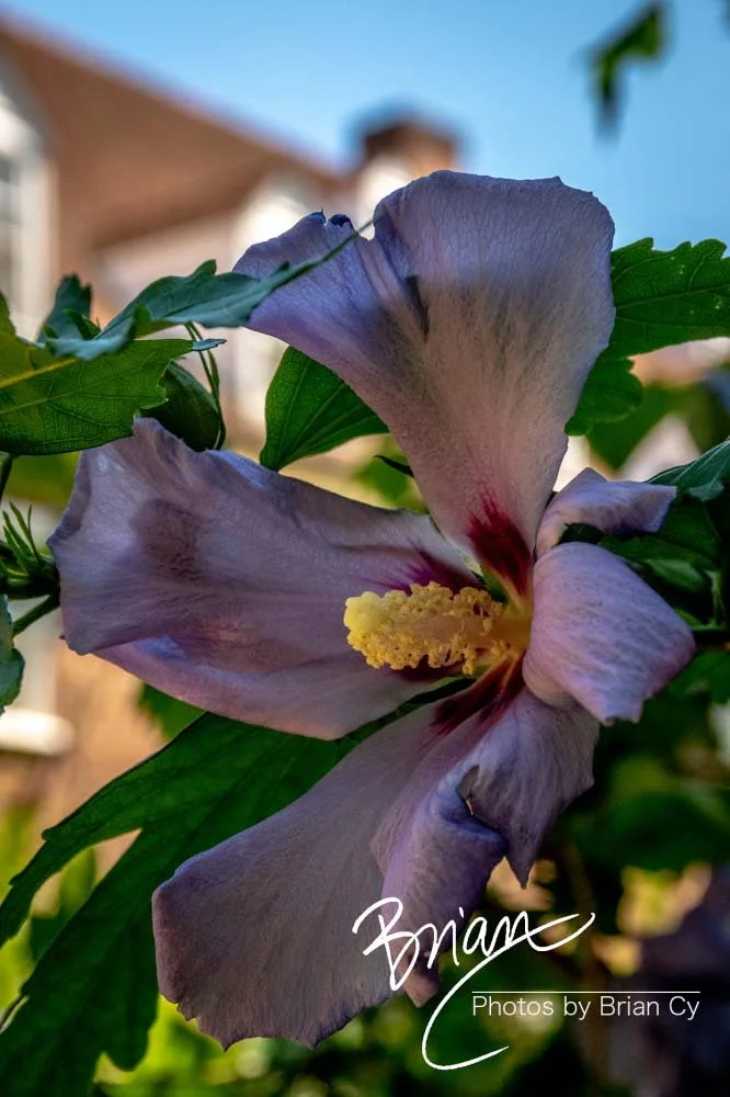 LoRes_WM_20190611_WinstonSalem_Edit-0862.jpg