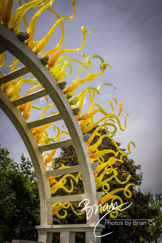 LoRes_WM_20180504_Missouri_Botanical_Edit-0122.jpg