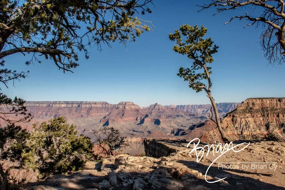LoRes_WM_20191112_GrandCanyon_Edit-7486.jpg