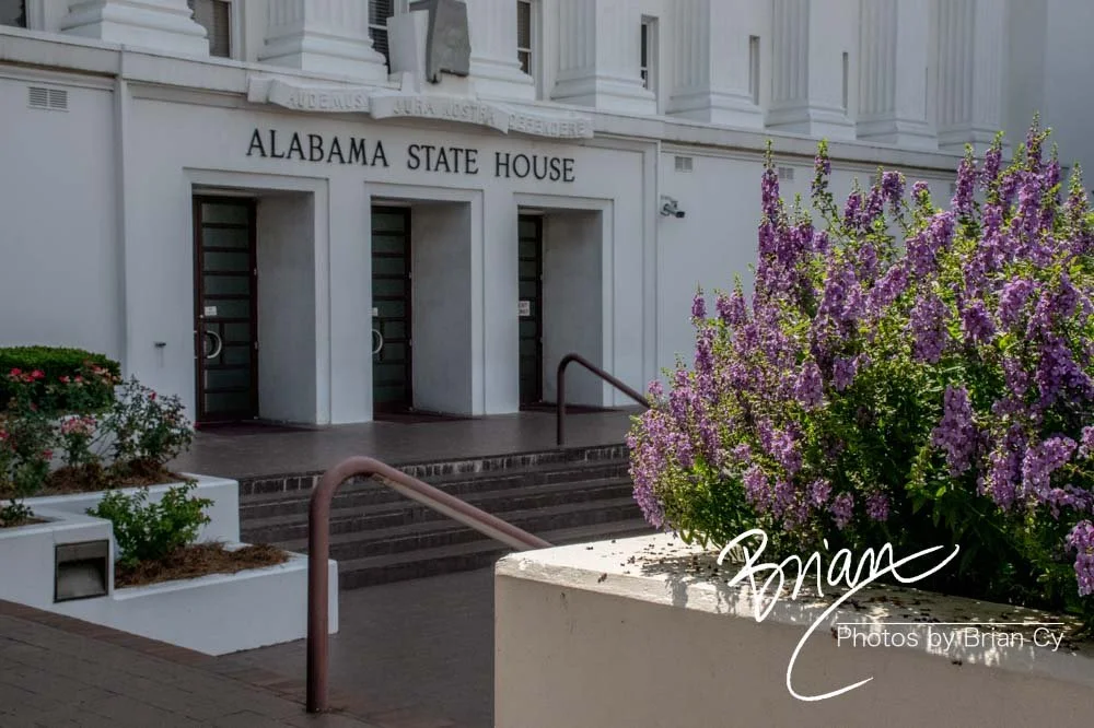 LoRes_WM_20190810_Montgomery_Edit-4827.jpg