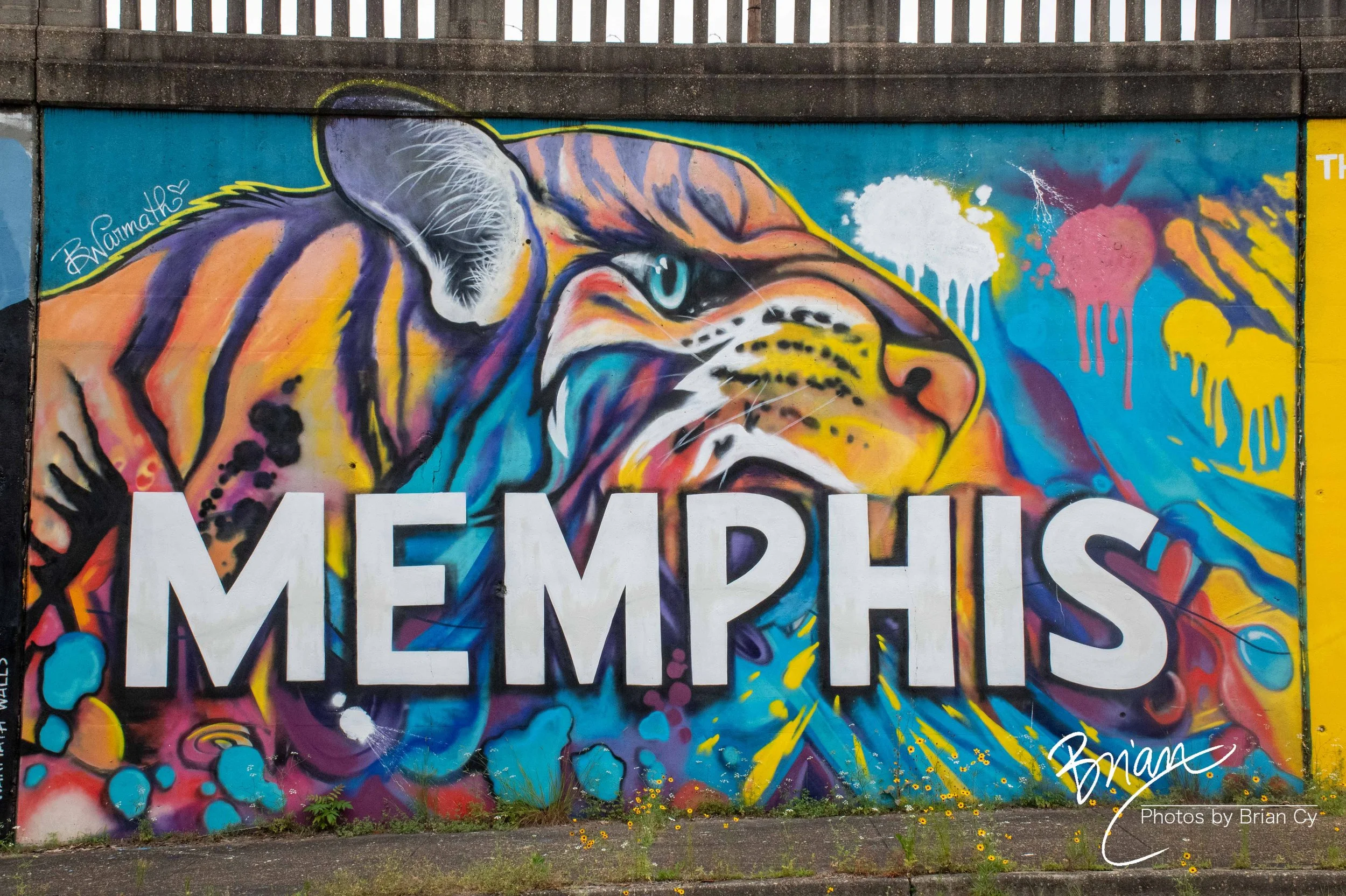 LoRes_WM_20260525_Memphis_Edit-0822.jpg