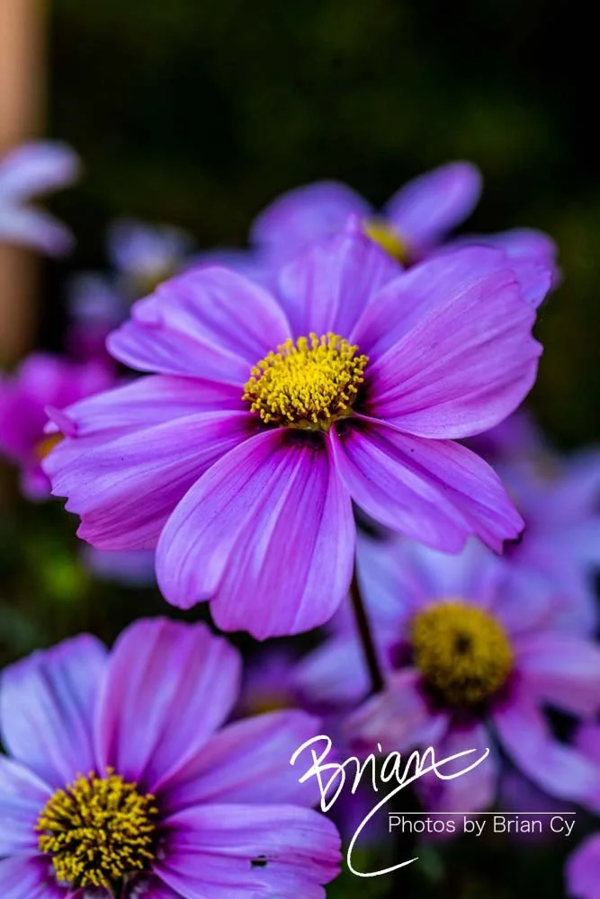 LoRes_WM_20201014_Tahoe_Edit-0360.jpg