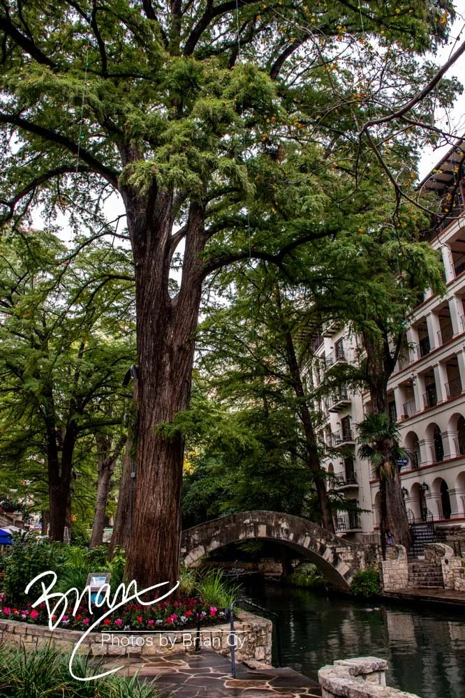 LoRes_WM_20191107_SanAntonio_Edit-0955.jpg
