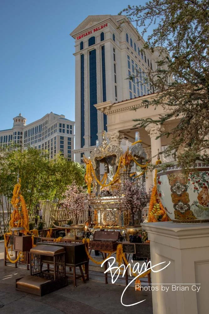 LoRes_WM_20190424_LasVegas_Edit-9255.jpg