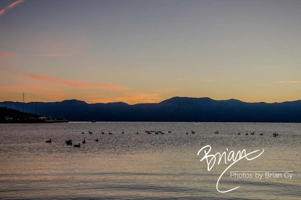 LoRes_WM_20201014_Tahoe_Edit-9201.jpg