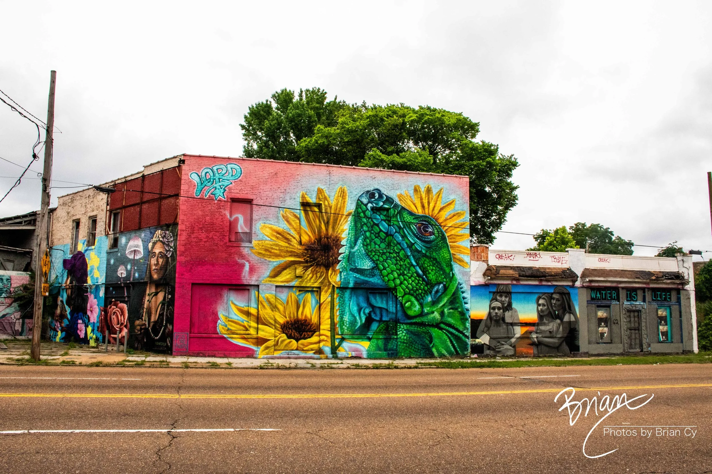 LoRes_WM_20260525_Memphis_Edit-0956.jpg