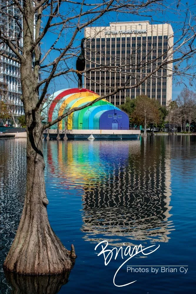 LoRes_WM_20190217_Orlando_Edit-5195.jpg