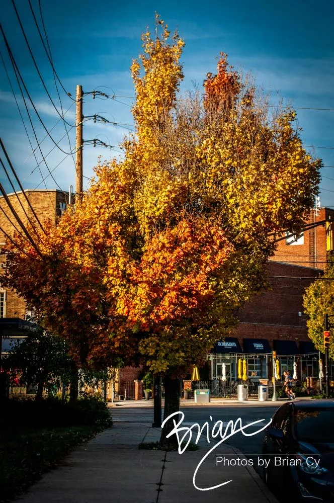 LoRes_WM_20171001_Indianapolis_Edit-3572.jpg