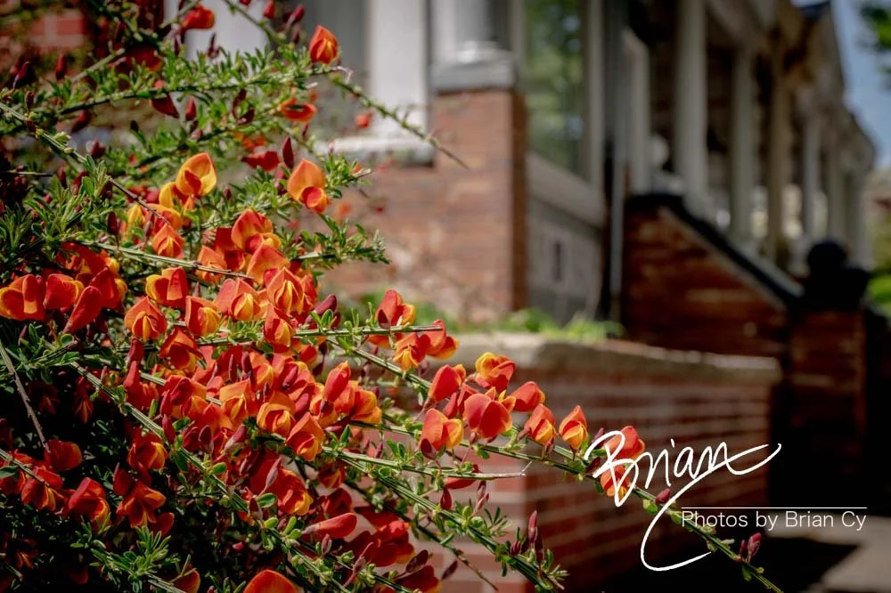 LoRes_WM_20210502_Baltimore_Edit-8511.jpg