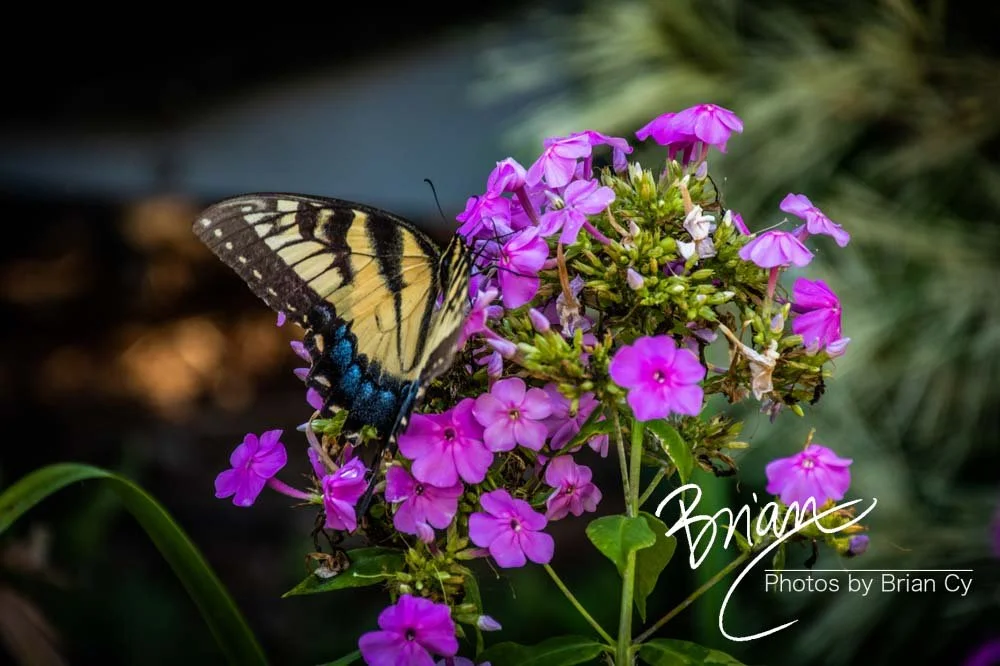 LoRes_WM_20190817_Atlanta_Edit-7357.jpg