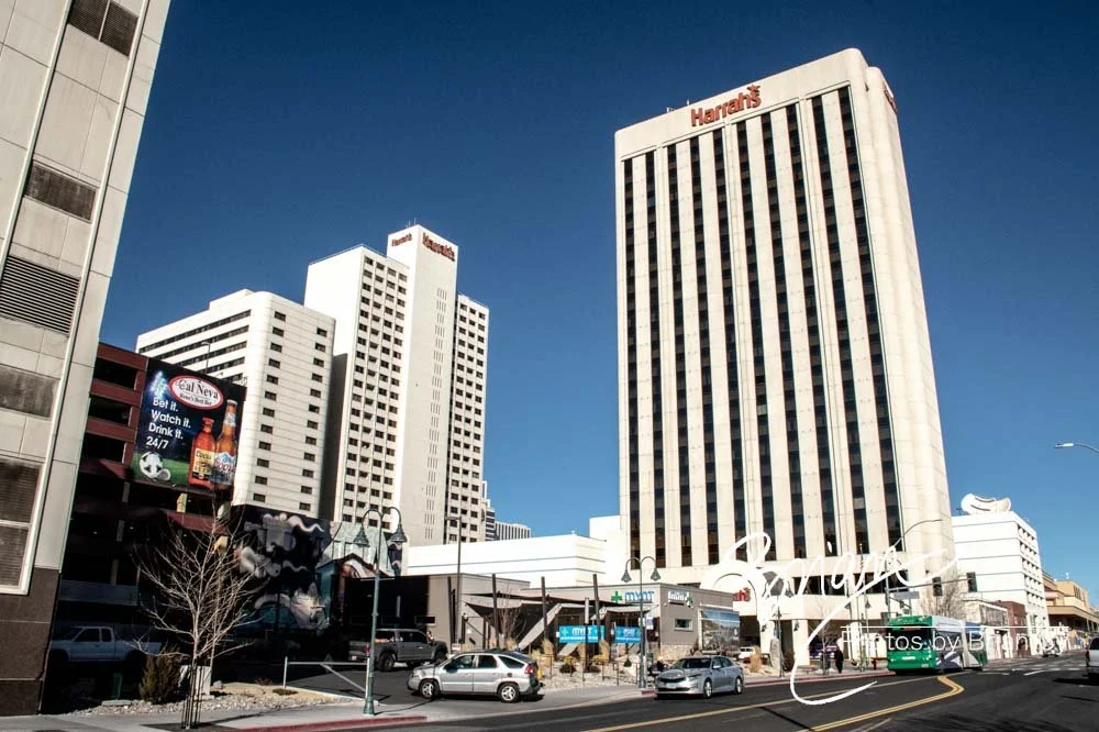 LoRes_WM_20200208_Reno_Edit-0691.jpg