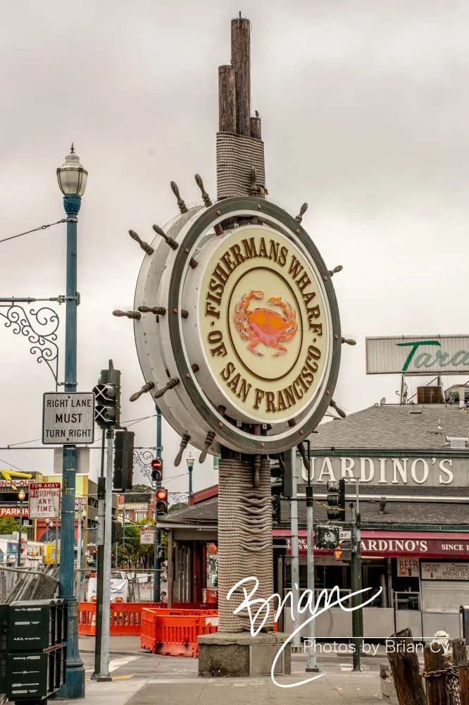 LoRes_WM_20200723_SanFrancisco_Edit-7805.jpg