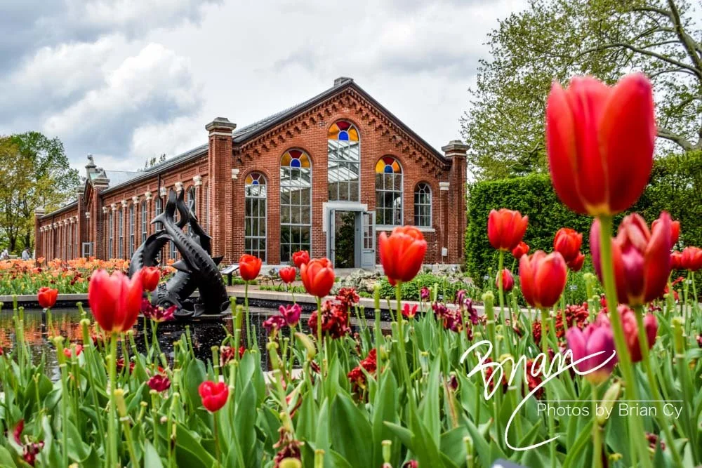 Missouri Botanical Gardens - St. Louis, Missouri (May 2018)