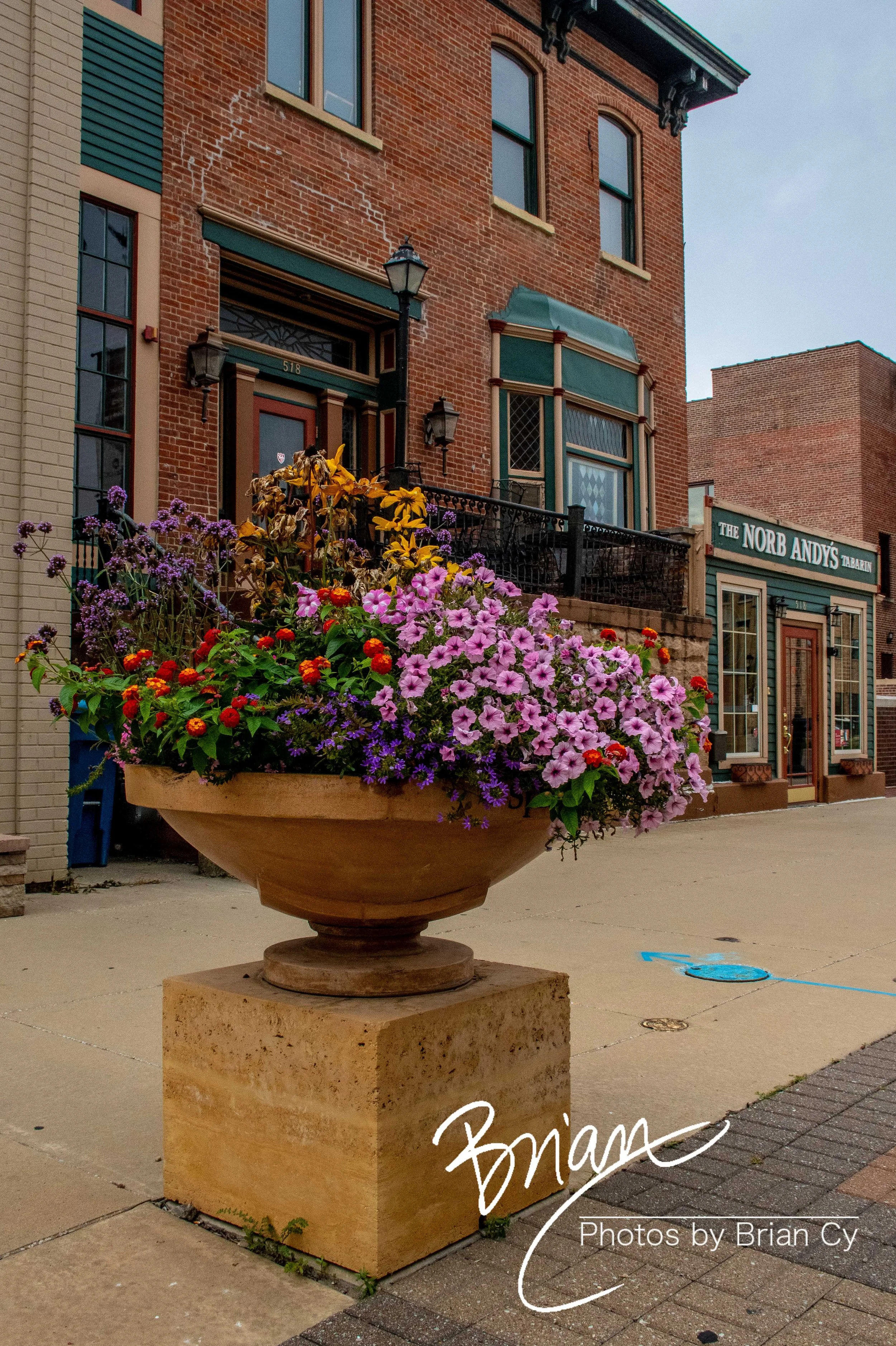LoRes_WM_20230916_Springfield_Edit-7325.jpg