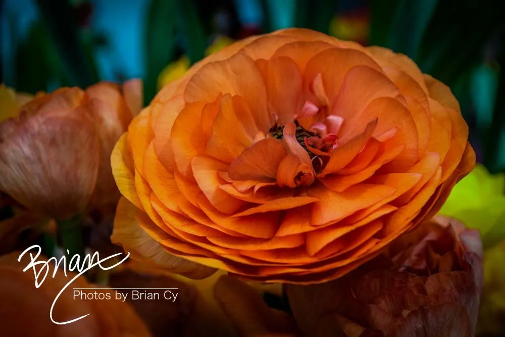 LoRes_WM_20180504_Missouri_Botanical_Edit-0014.jpg