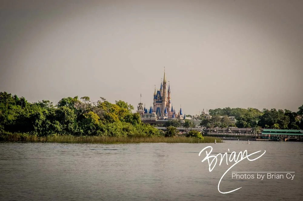LoRes_WM_20230704_TheFam_Disney_Edit-6127.jpg