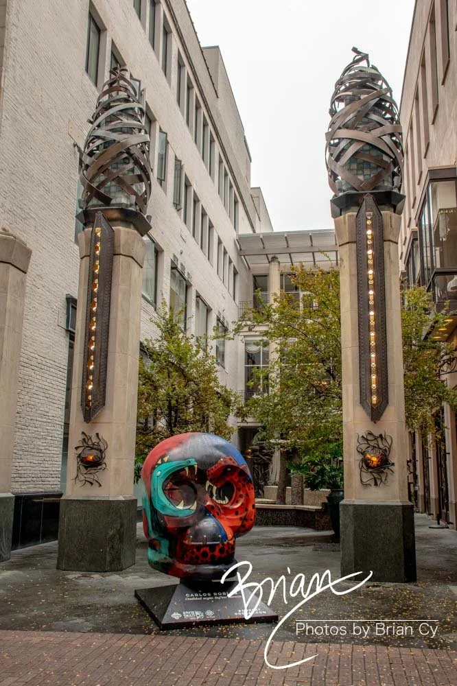 LoRes_WM_20191107_SanAntonio_Edit-0783.jpg