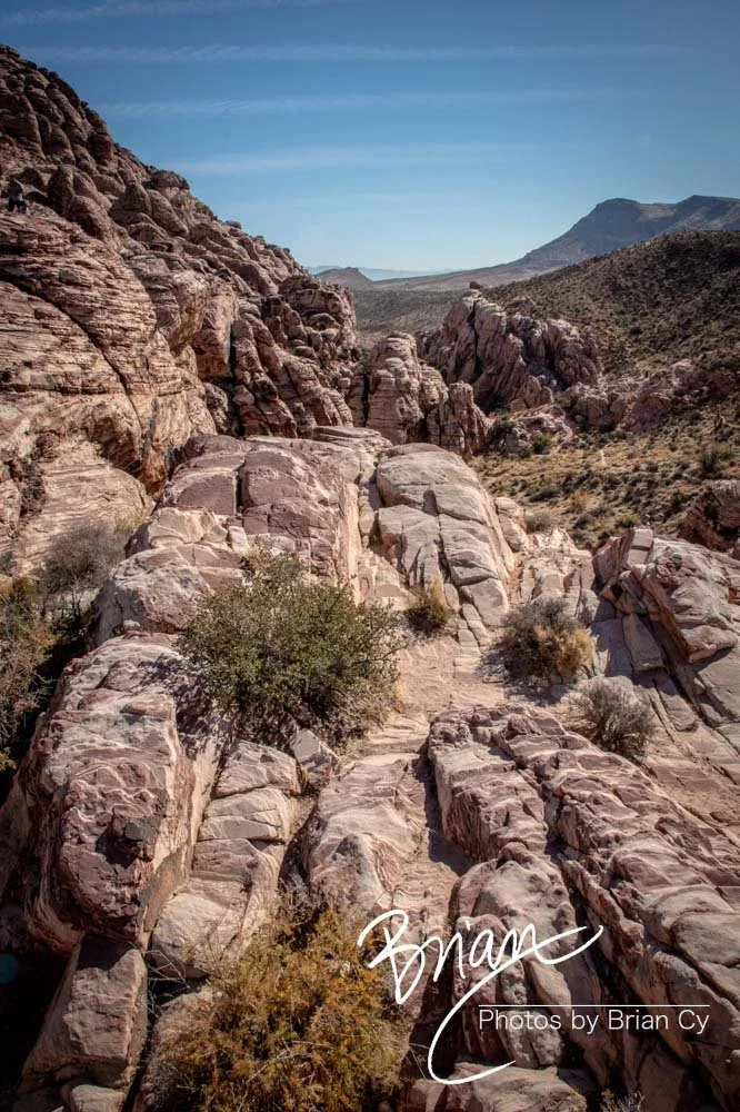LoRes_WM_20191113_RedRockCanyon_Edit-8628.jpg