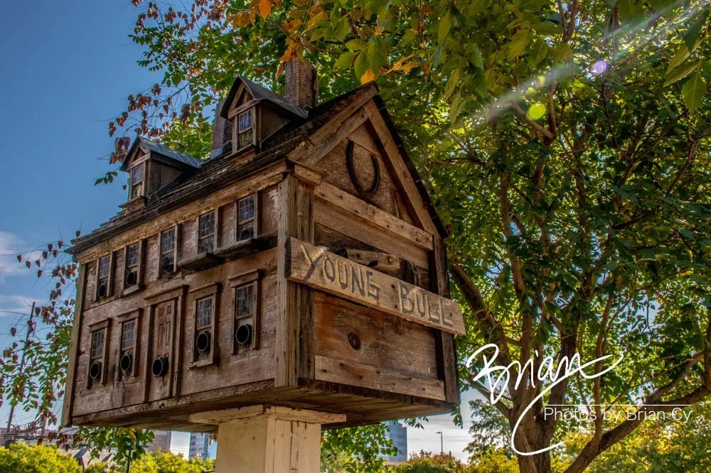 LoRes_WM_20220820_Wilmington_Edit-6134.jpg