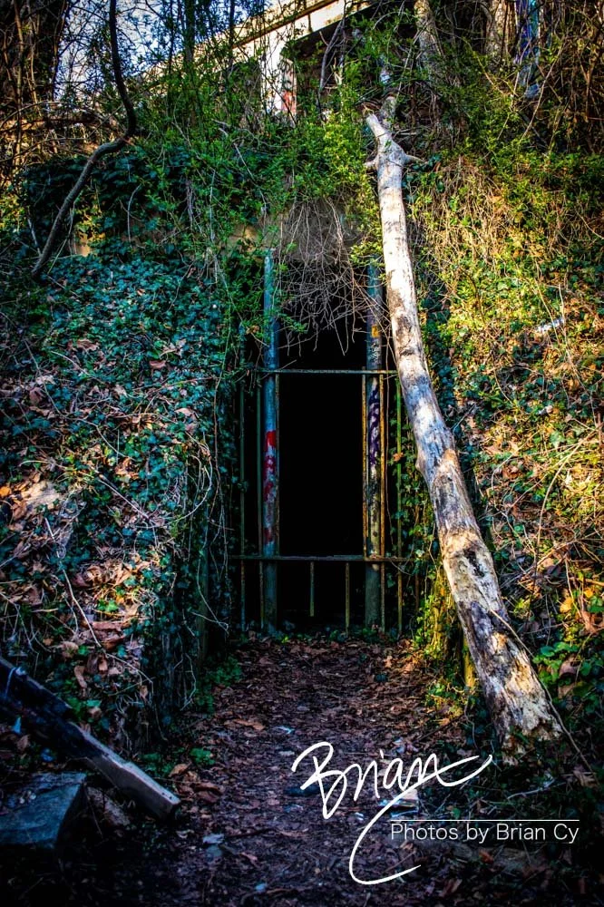 LoRes_WM_20220319_Fort_Armistead_Park_Edit-3319.jpg