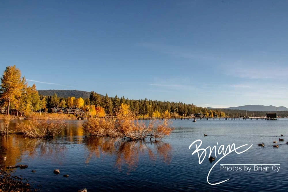 LoRes_WM_20201014_Tahoe_Edit-0238.jpg